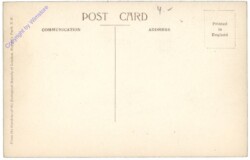 London, Crocodile Beach - New Reptile House