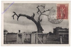 The tree of knowledge