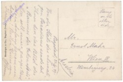 The tree of knowledge