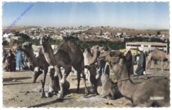 Allgemein, Jour de souk