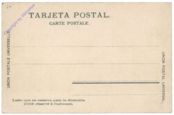 ak161445a Allgemein, Vendedores de Flores