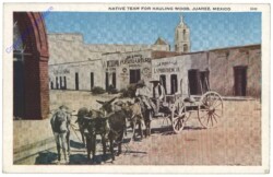 ak161448 juarez, Native Team for Hauling Wood