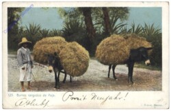 Allgemein, Burros cargados de Paja