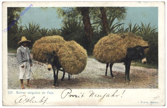 Allgemein, Burros cargados de Paja
