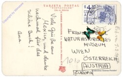 Allgemein, Multiansicht