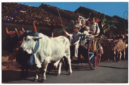 ak161529 Panama, Ansicht