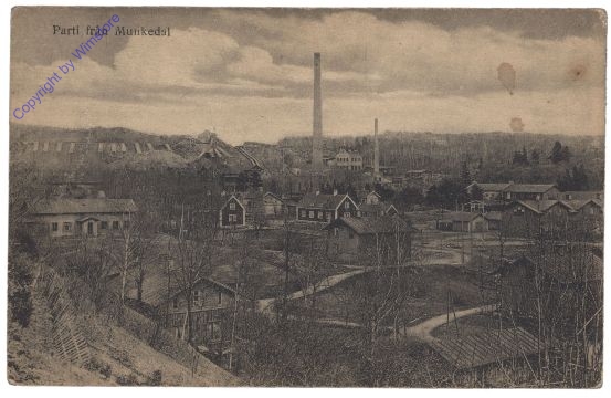 ak161600 Munkedal, Ansicht