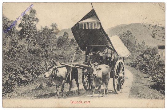 Singapur, Bullock cart