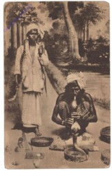 Ceylon, Snake Charmers