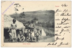 Ceylon, Native Children