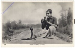 Ceylon, Snake Charmer