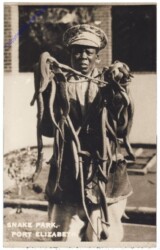 ak161671 Port Elizabeth, Snake Park