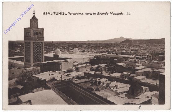 ak161699 Tunis, Panorama