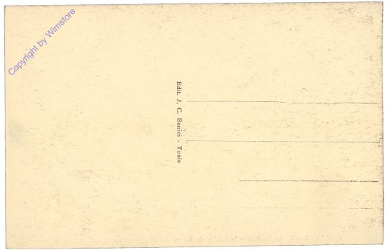 ak161741a Carthage, Le Theatre et la Colline du Junon