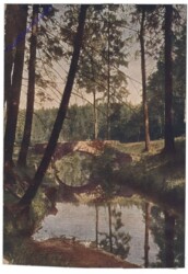 Brücke