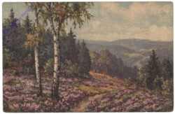 Almlandschaft