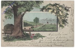 ak161898 Am Wegesrand
