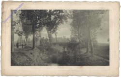 Waldlandschaft