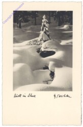 Quelle im Schnee