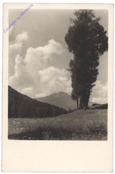 Wiese