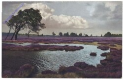 ak161931 Blick auf den Fluss