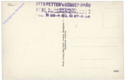 Gösser Bier