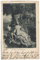 Die Nixe des Wildsees
