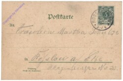 Den blühenden Kastanienzweig ...