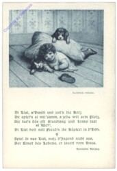 Di Lisl, s'Hundl und unt'n die Kotz...