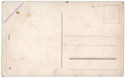 Der geflochtene Bart