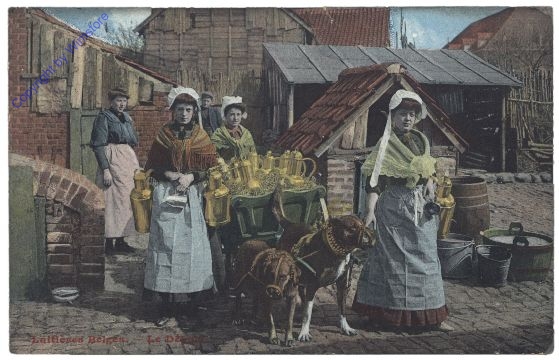 Hund als Zugtier