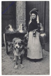 Hund als Zugtier
