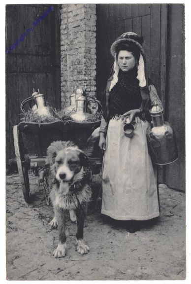 Hund als Zugtier