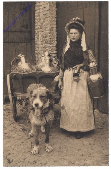 Hund als Zugtier