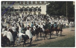 Huldigungsfestzug 1908, Die Armee d. Feldmarschalls Radetzky 1848