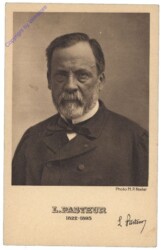 ak162304 L. Pasteur