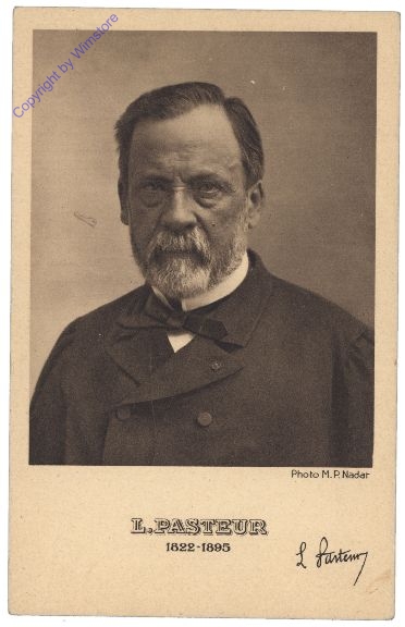 L. Pasteur