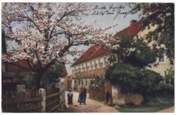 Hofeinfahrt
