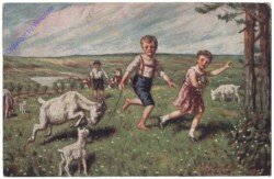 Ziegenhirte