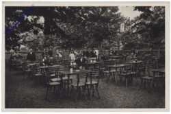 Wien 4, Damlatia-Weinhaus