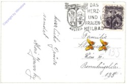 Bad Tatzmannsdorf, Springbrunnen und Kurmittelhaus