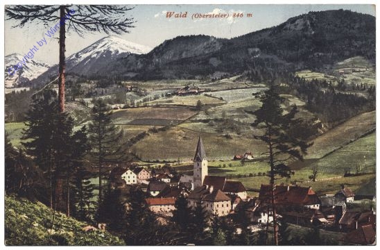 Wald im Pinzgau, Ansicht