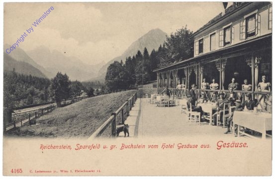 Gesäuse, Reichenstein, Sparafeld u. gr. Buchstein vom Hotel Gesäuse aus