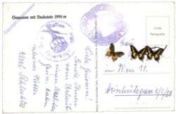 Gosau, Gosausee mit Dachstein