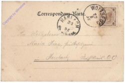 ak163156a Wolfsegg, Gruss aus