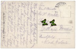 Krieglach, Waldschule in Waldheimat