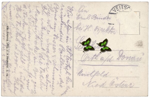 Krieglach, Waldschule in Waldheimat