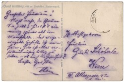 Leoben, Almmauer, Tamischbachturm