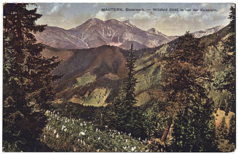 Mautern, Wildfeld von der Kaiseralm