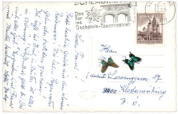 Rohrmoos, gegen Dachsteinsüdwände